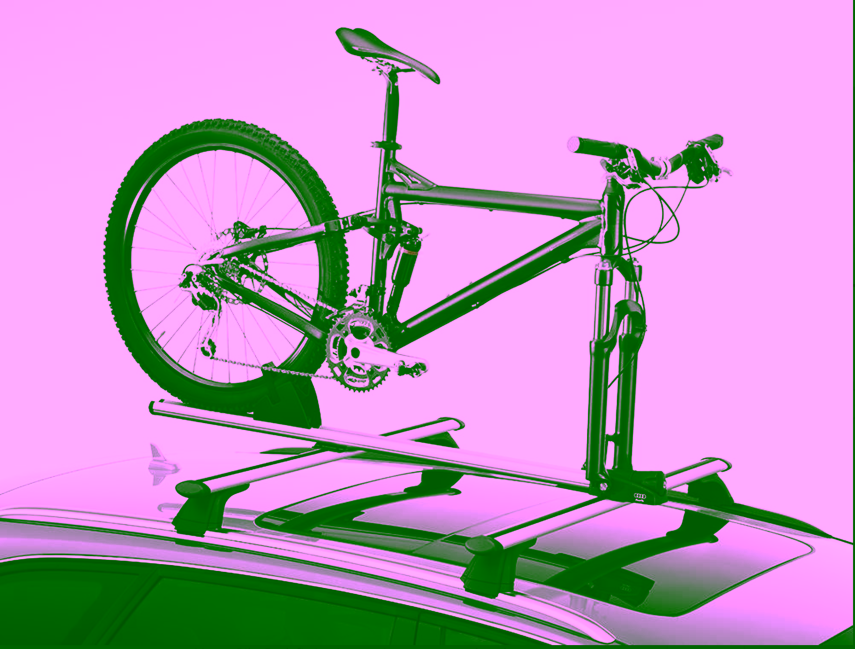 audi roof bicycle rack fork